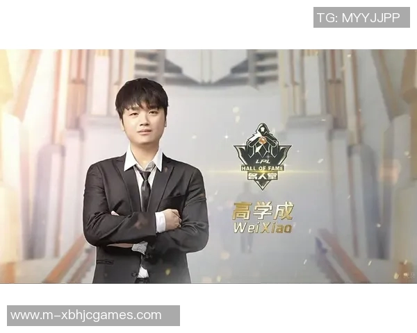 全明星赛中WE战队选手个人能力表现深度分析与点评